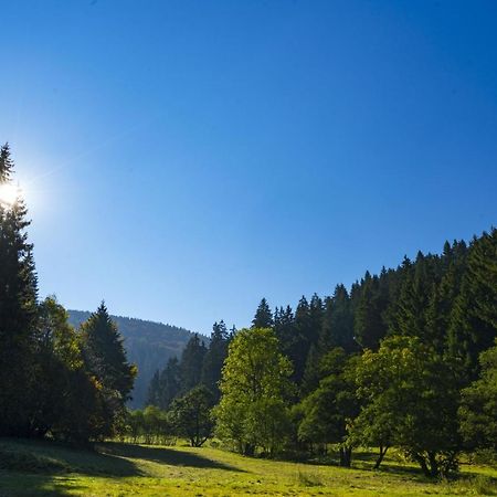 The Conscious Farmer Bed And Breakfast Sauerland Willingen  Eksteriør bilde