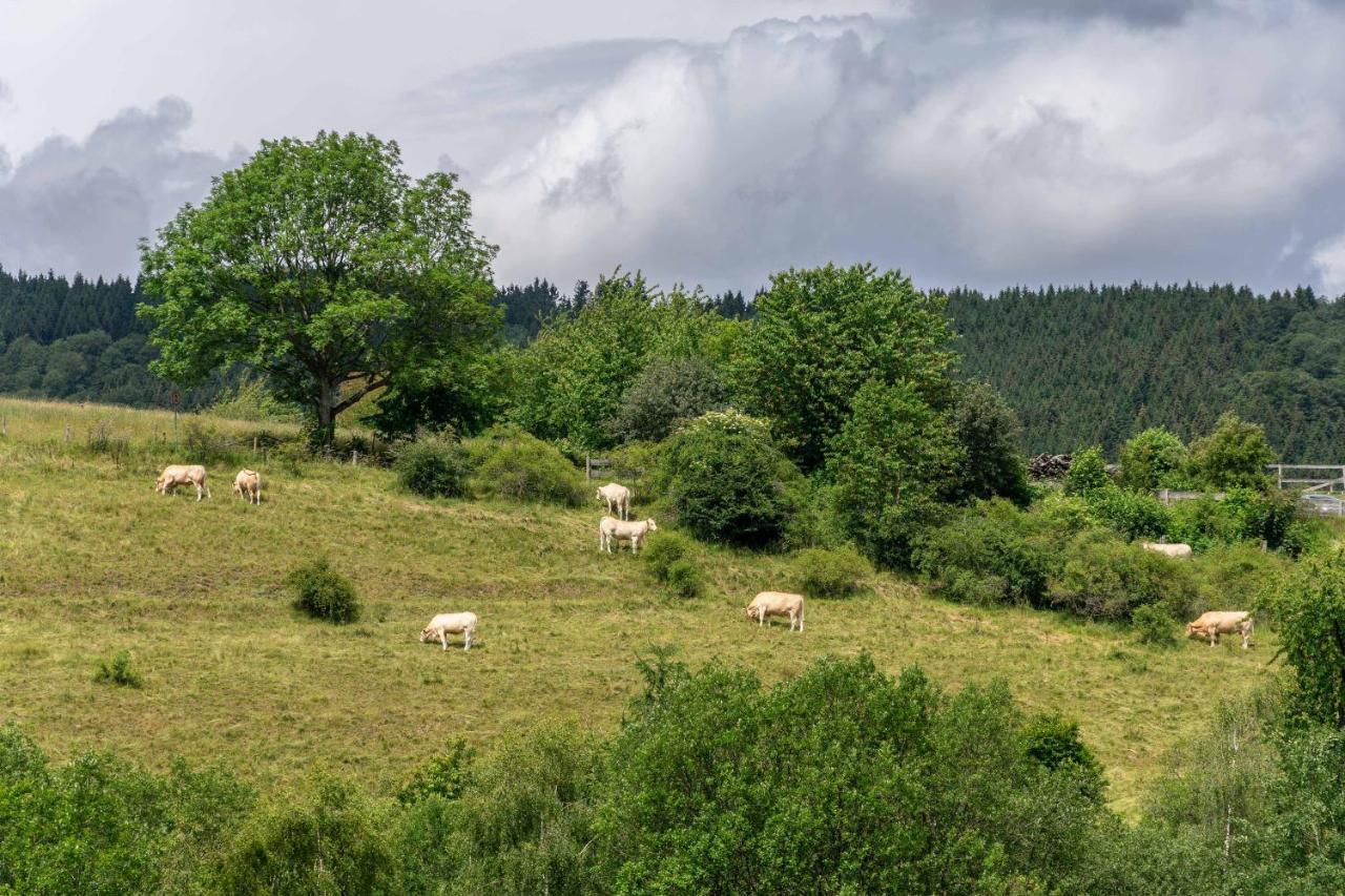 The Conscious Farmer Bed And Breakfast Sauerland Willingen  Eksteriør bilde