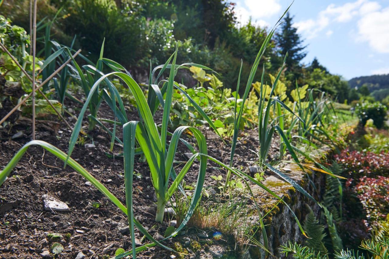 The Conscious Farmer Bed And Breakfast Sauerland Willingen  Eksteriør bilde