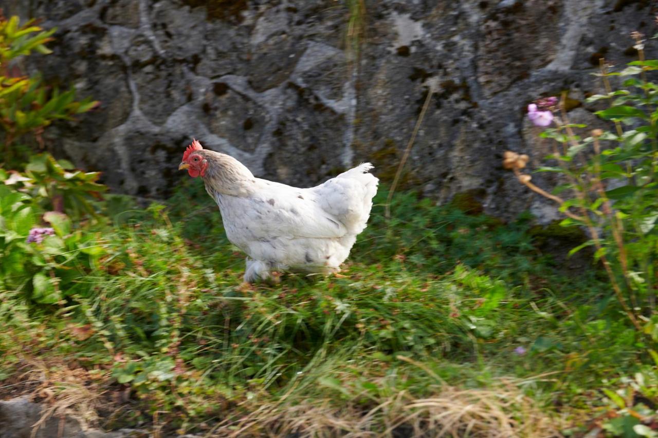 The Conscious Farmer Bed And Breakfast Sauerland Willingen  Eksteriør bilde