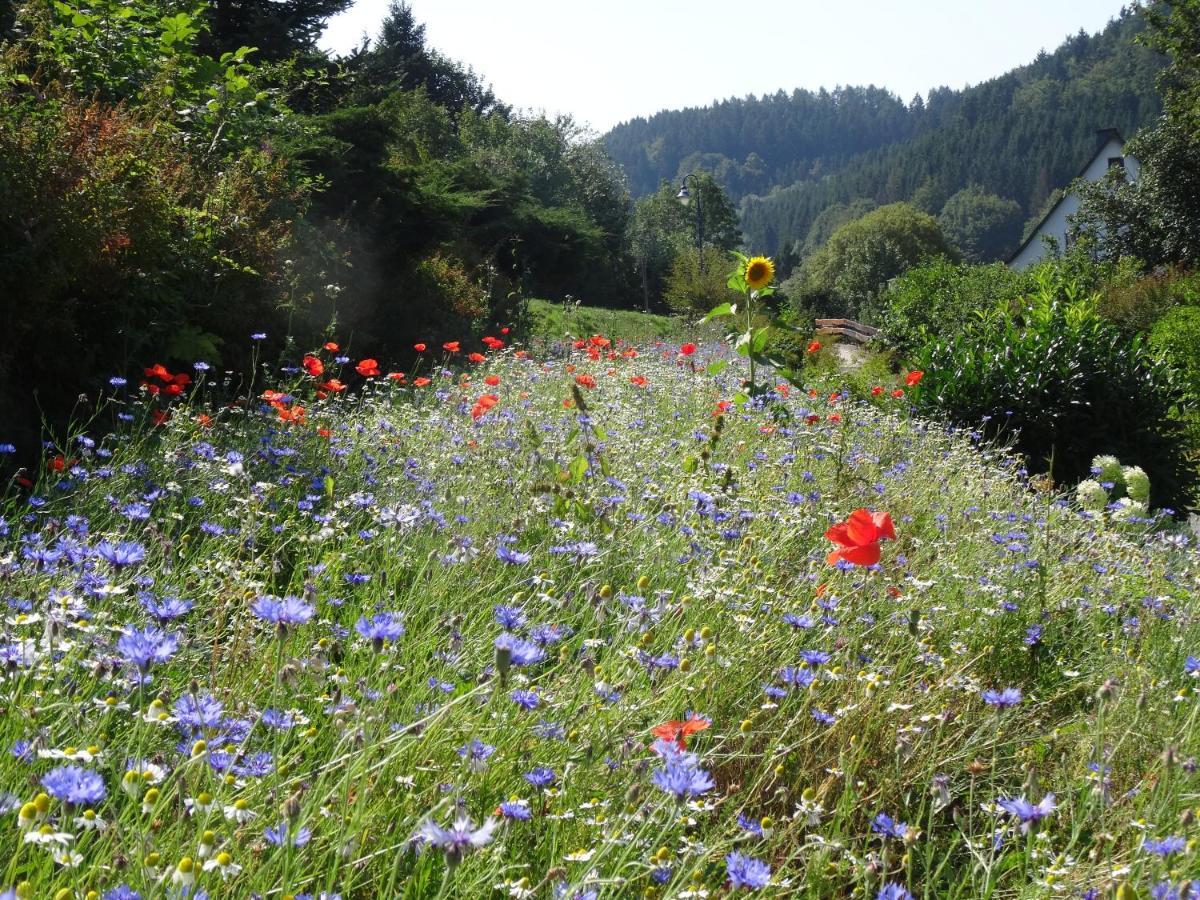 The Conscious Farmer Bed And Breakfast Sauerland Willingen  Eksteriør bilde