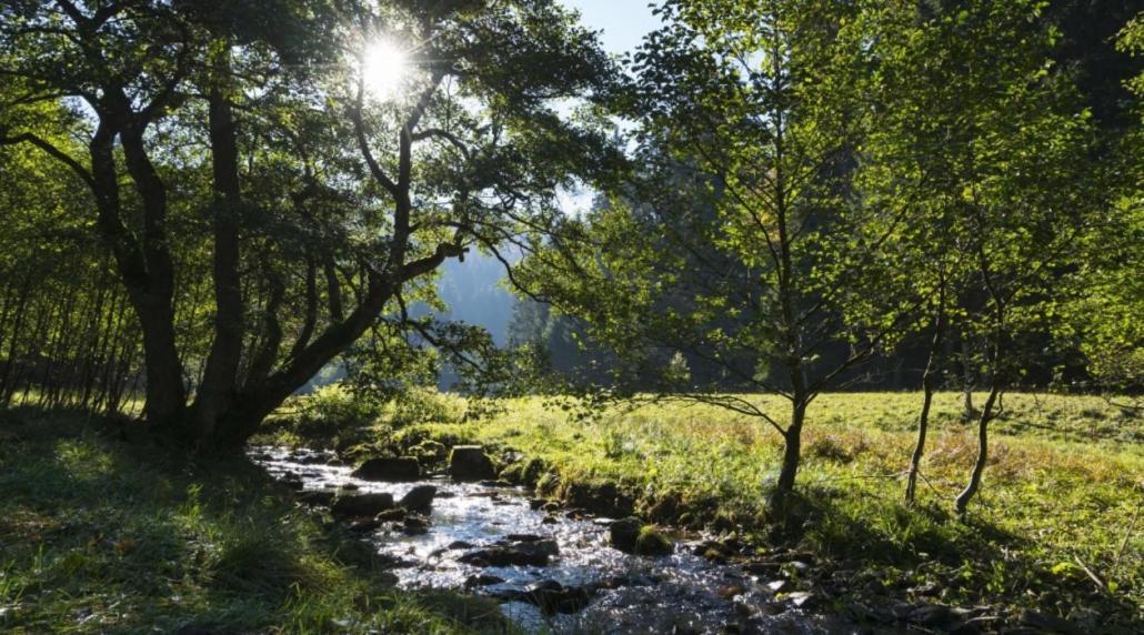 The Conscious Farmer Bed And Breakfast Sauerland Willingen  Eksteriør bilde
