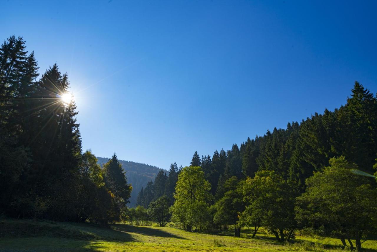 The Conscious Farmer Bed And Breakfast Sauerland Willingen  Eksteriør bilde