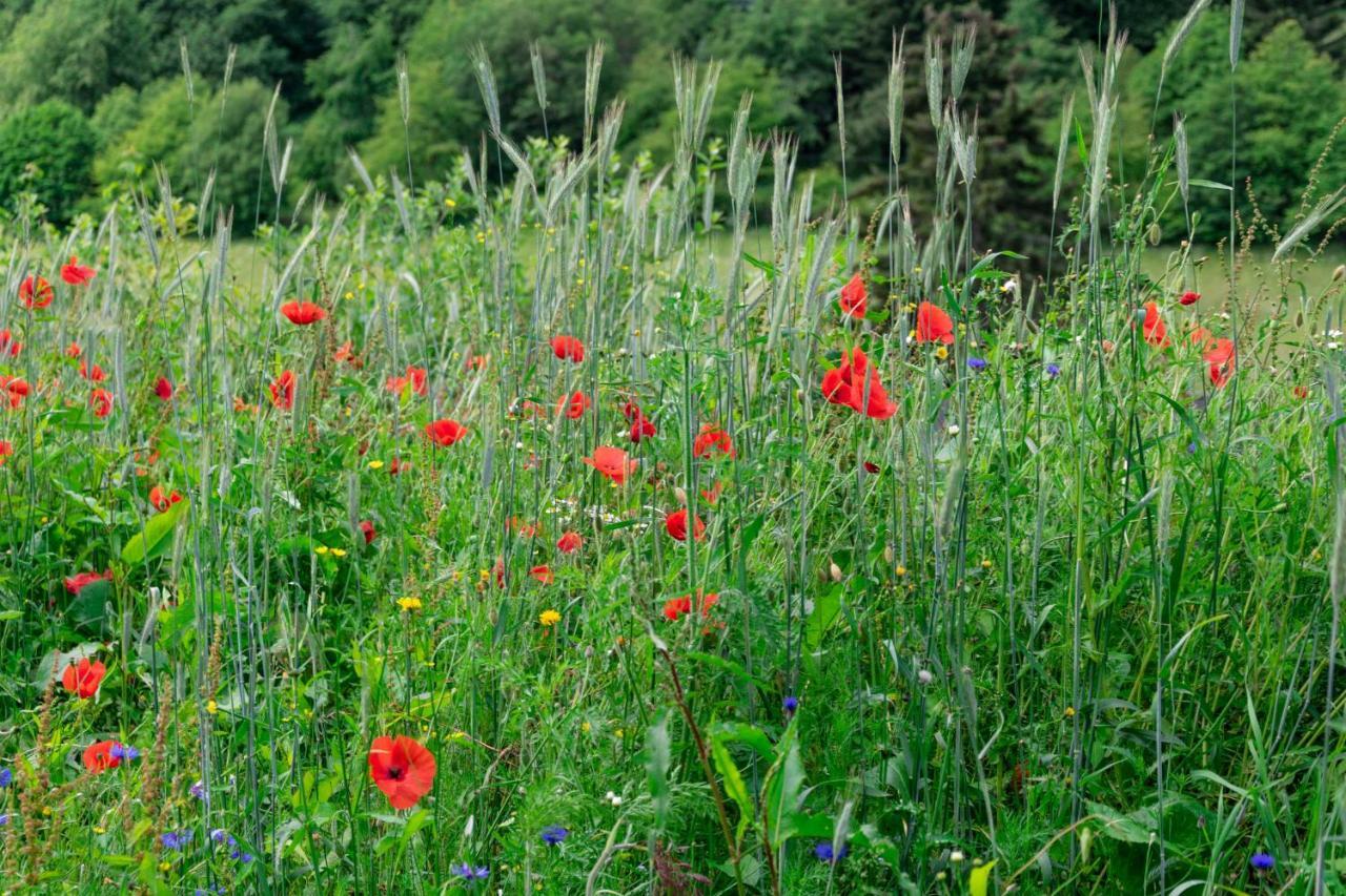 The Conscious Farmer Bed And Breakfast Sauerland Willingen  Eksteriør bilde